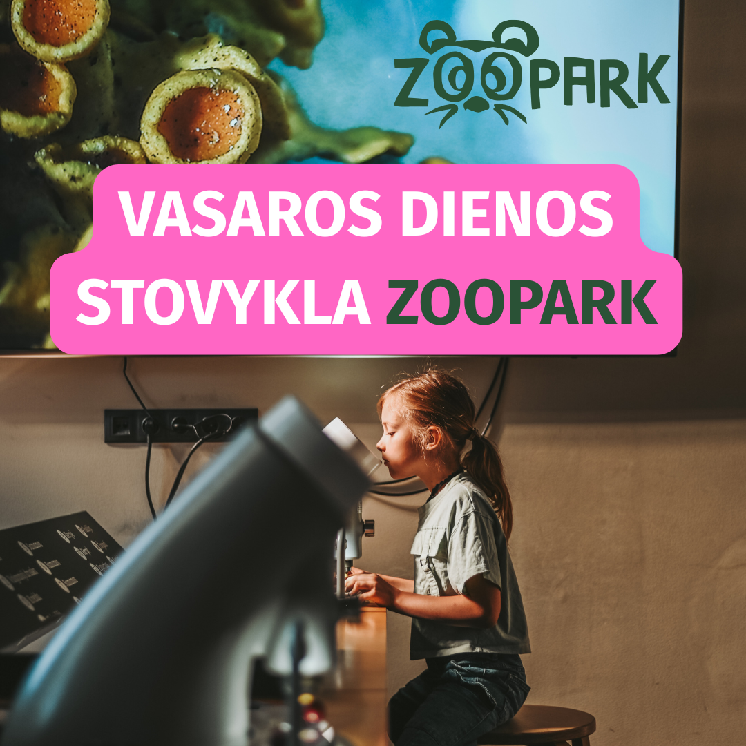 „ZOOPARK” - Startavo registracija į vasaros stovyklą!